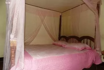 مُتل Vine Inn