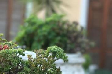 בית מלון כפרי Piemontese