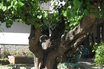 בית מלון כפרי Da Rosanna