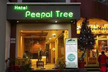 هتل Peepal Tree