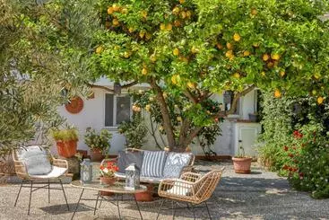 Bed and Breakfast Acquaviva 31