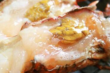 Рёкан Hamachiyokan