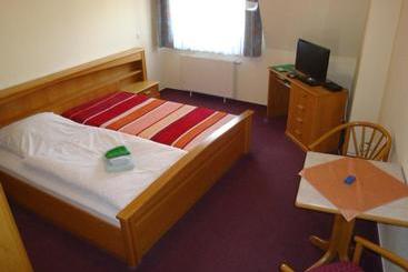 Отель Goldener Löwe Triebes