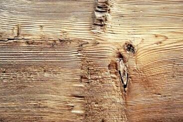 Bed & Breakfast Maison Lazier