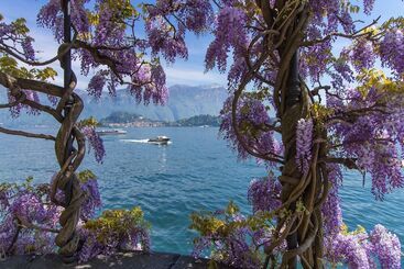 ツーリストアパートメント Argegno Fronte Lago