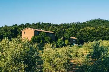 Bed and Breakfast Podere San Francesco