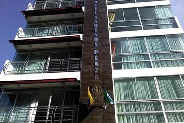 هتل Andinos Plaza Pitalito