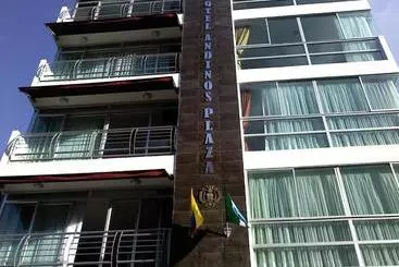هتل Andinos Plaza Pitalito