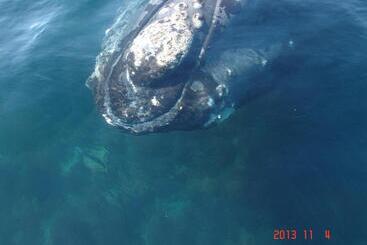 Otel Casa Patagonica