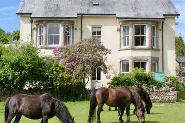 Dartmoor House B&b