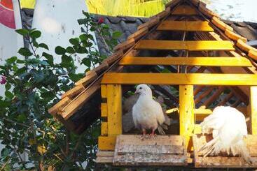 هتل Restaurante Spa La Barca De Oro