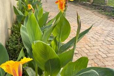 Bed and Breakfast Kalpa Place Hiriketiya