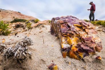 Hotel Bahia Bustamante Lodge