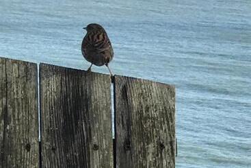 Bed and Breakfast Number 29 Only Adults