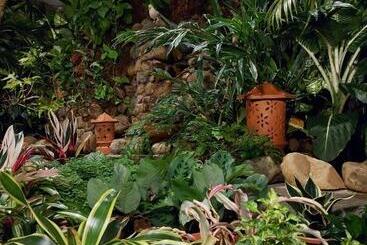 Palm Grove Cottages Leisure Resort