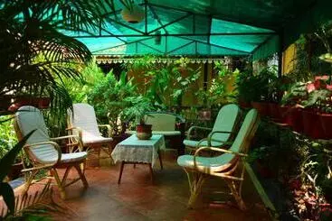 Palm Grove Cottages   Leisure Resort