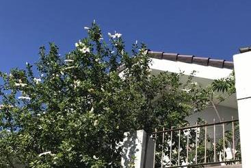 Szálló The Nest @ Cebu