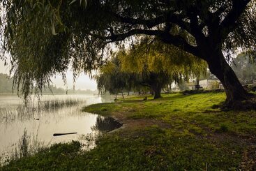 تختخواب و صبحانه Green Hostel