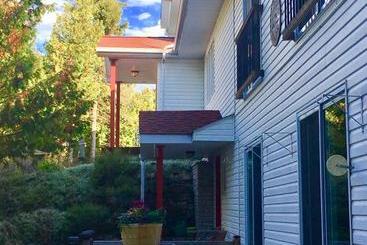 The Forest House B&b