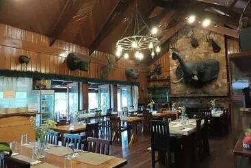 Log Cabin Hotel   Safari Lodge Baguio