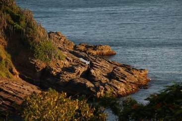 ホテル Praia Da Ferradurinha Guest House