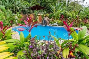 ホテル Aunty Arenal Lodge