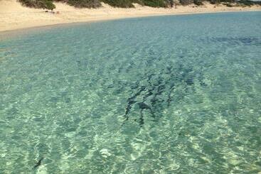 Hotel Punta Prosciutto Angel Bay B&b