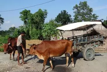 هتل Tharu 20for7 Holiday House