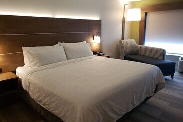 Hotel Holiday Inn Express & Suites Nashville North Springfield, An Ihg