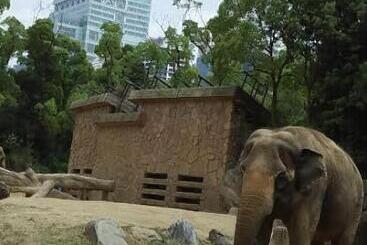 בית מלון כפרי R Guest House