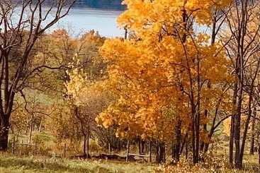 Magnolia Place Bed & Breakfast