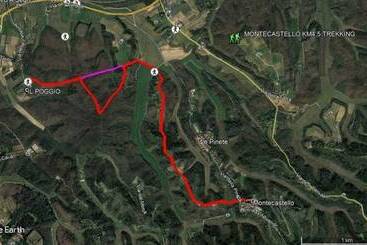 פנסיון Il Poggio