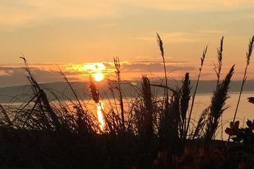 Пансион Whitecliff Guest House