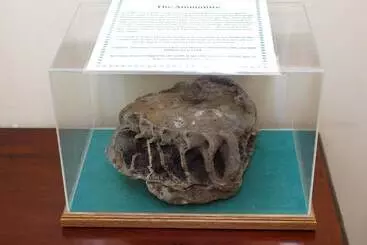 Pensió Ammonite Lodge