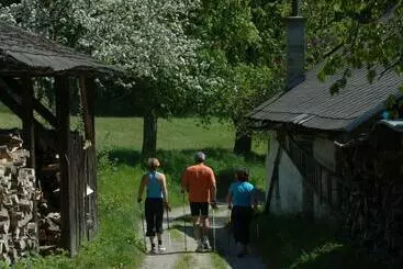 Pension Appartement Lanzer