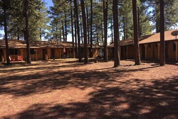 旅馆 Timberlodge Inn