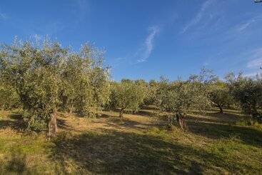 酒店 Agriturismo La Montagnola