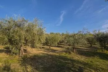 Hôtel Agriturismo La Montagnola