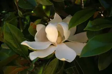 アパートホテル Residence Fiorenzo