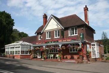 הוסטל The Wheatsheaf Inn