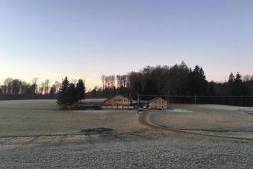 ペンション Maison Carmen Restaurant , Meublé De Tourisme, Appartements