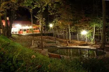 Pensiunea Boema