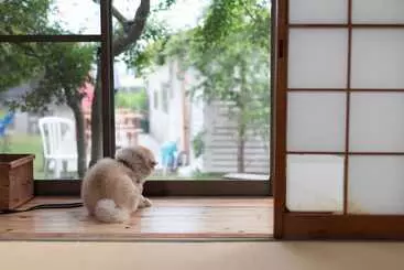 ペンション Cafe&guest House Kaede   Hostel