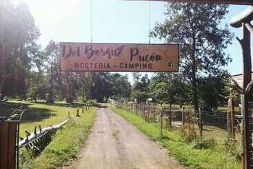 Alberg Hosteria Y Camping Del Bosque Pucón