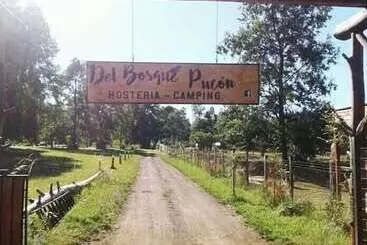 Herberge Hosteria Y Camping Del Bosque Pucón