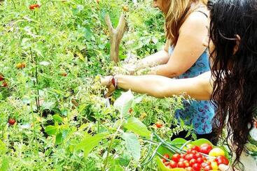 Hotel Sol De Minca Eco Lodge