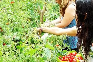 ホテル Sol De Minca Eco Lodge