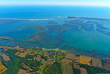 ユースホステル Seaside Apartment #22