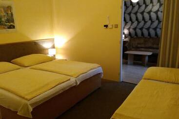 פנסיון Penzion Vis A Vis