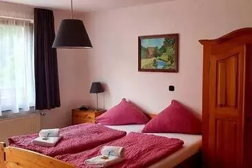 Hotel Grüner Baum